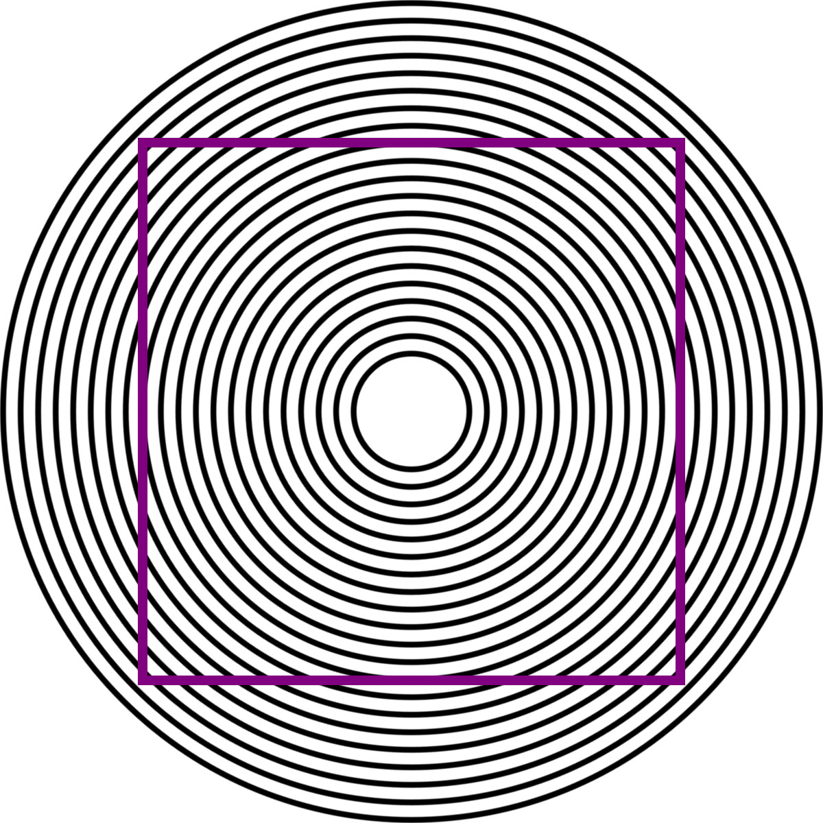 Ehrenstein Illusion