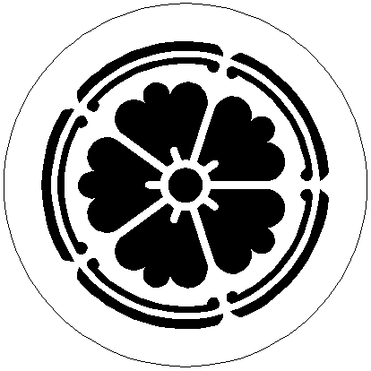 image12