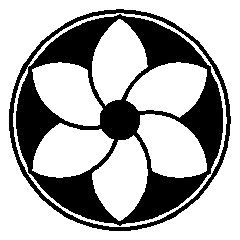 image15